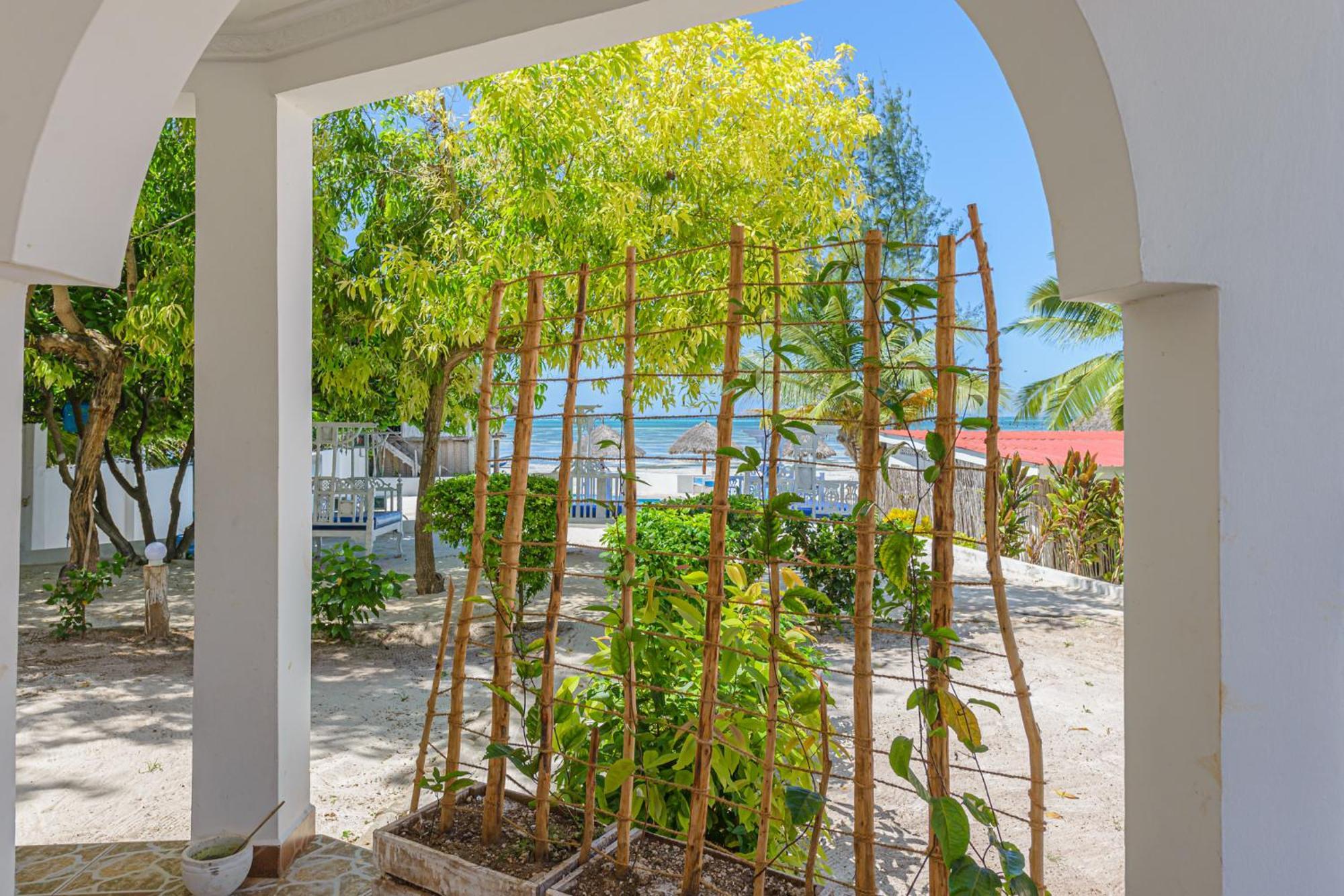 Marea Boutique Hotel Jambiani  Ngoại thất bức ảnh